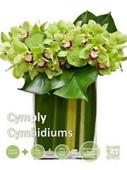 Poster Cym Green